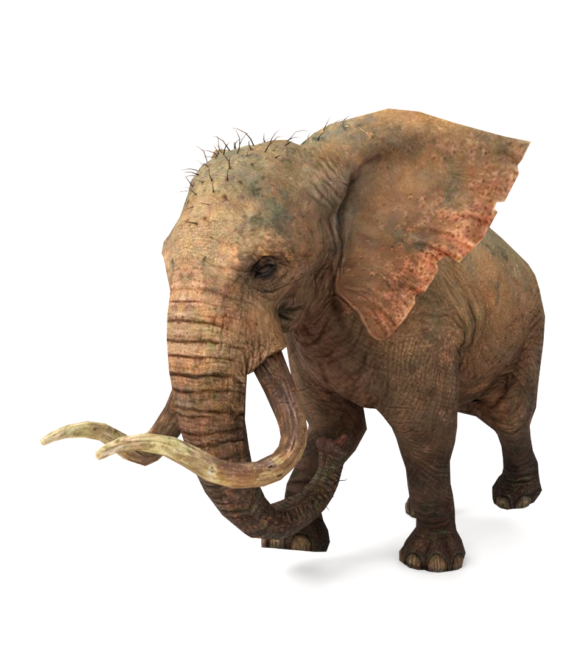 Elephtant 1