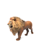 Lion 1