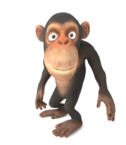 Monkey