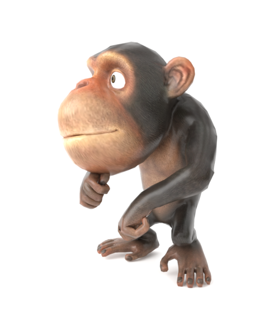 Monkey 1